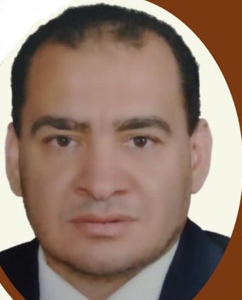 د. ربيع عبدالرؤوف عامر